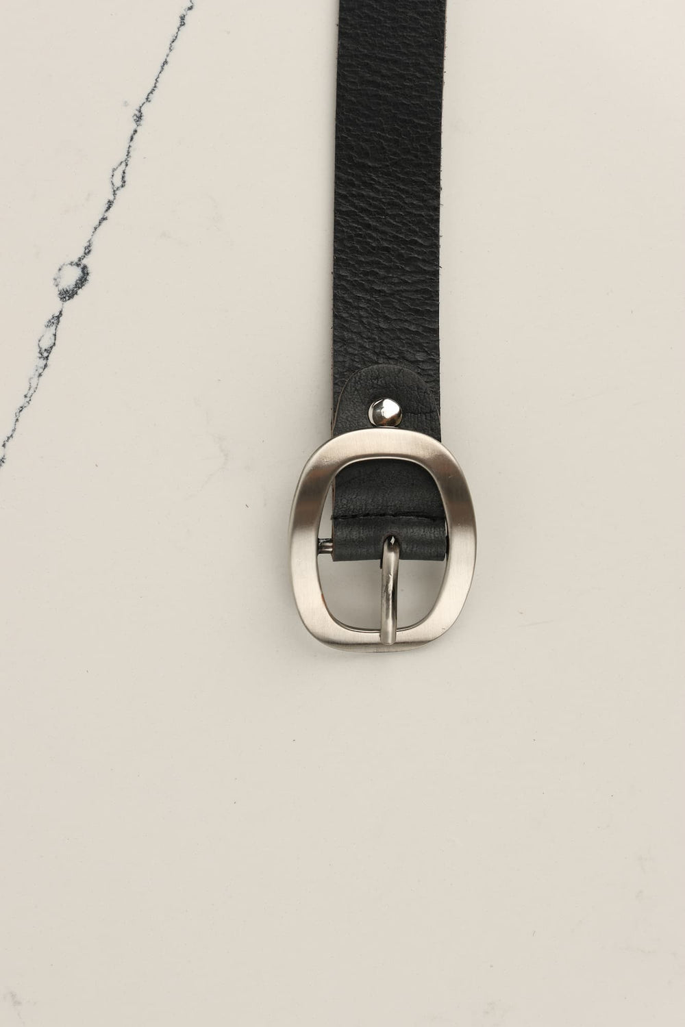 אבזם ווינטג מבריק